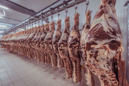 Cuts of meat in a freezer
