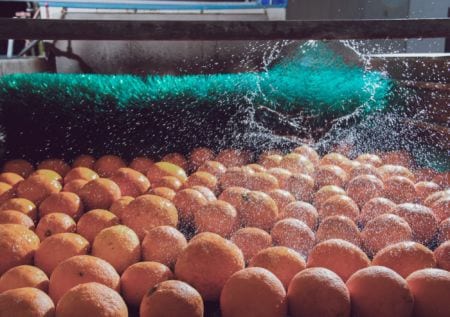Oranges being washed in a machine