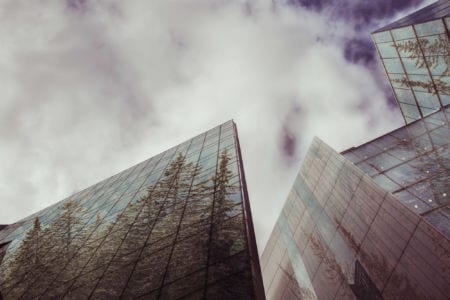 Tall glass buildings reflecting trees