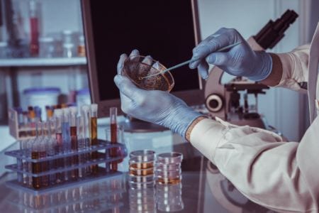 Laboratory technician working in a lab