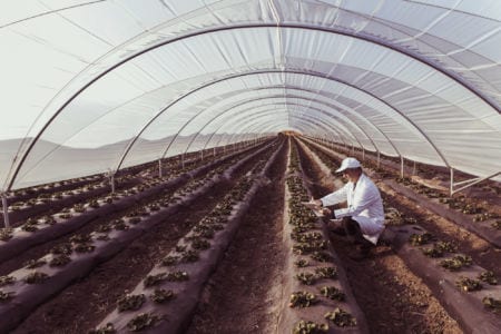 Process automation engineer taking notes in a greenhouse