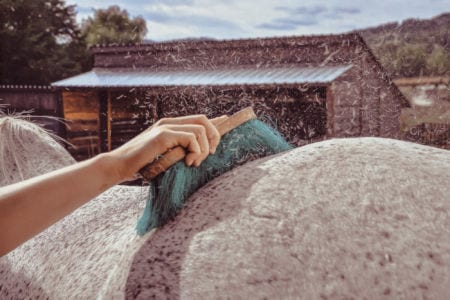 Macro of a hand holding a brush grooming a horse