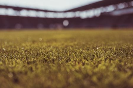 Macro of grass on a soccer stadium