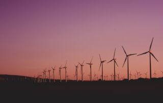 A windfarm at dusk - green apprenticeships